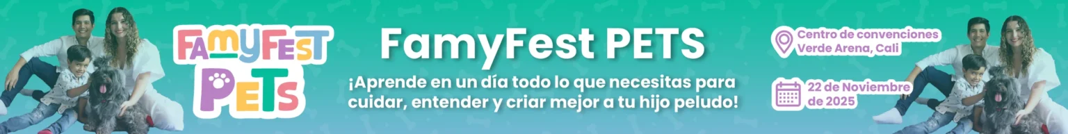 FAMYFESTMesa de trabajo 4